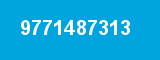 9771487313