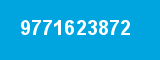 9771623872