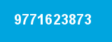 9771623873