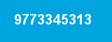 9773345313 9773345313