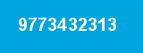 9773432313