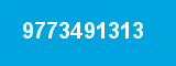 9773491313