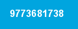 9773681738