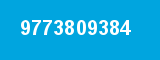9773809384