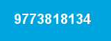 9773818134