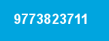 9773823711