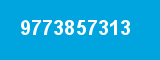 9773857313