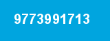9773991713