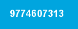9774607313