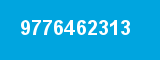 9776462313