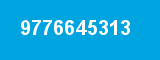 9776645313