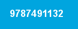 9787491132