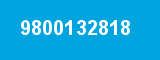 9800132818