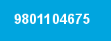 9801104675