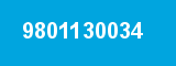 9801130034