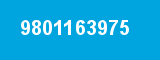 9801163975