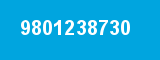 9801238730 9801238730