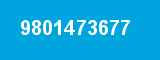 9801473677 9801473677