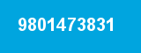 9801473831
