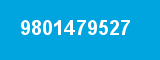 9801479527