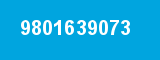 9801639073