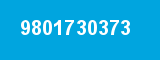 9801730373