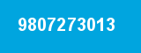9807273013 9807273013