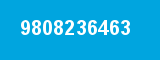 9808236463