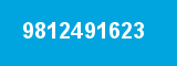 9812491623