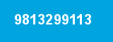 9813299113 9813299113