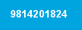 9814201824