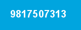 9817507313 9817507313