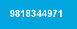 9818344971 9818344971