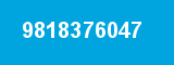 9818376047