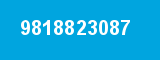 9818823087