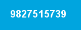 9827515739