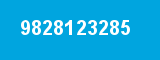 9828123285