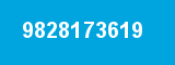 9828173619 9828173619