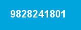 9828241801 9828241801