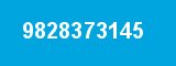 9828373145 9828373145