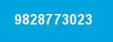 9828773023 9828773023