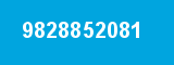9828852081 9828852081