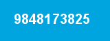 9848173825