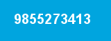 9855273413 9855273413