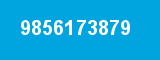 9856173879