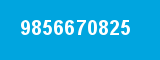 9856670825