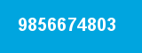 9856674803