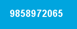 9858972065 9858972065