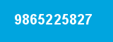 9865225827