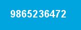 9865236472